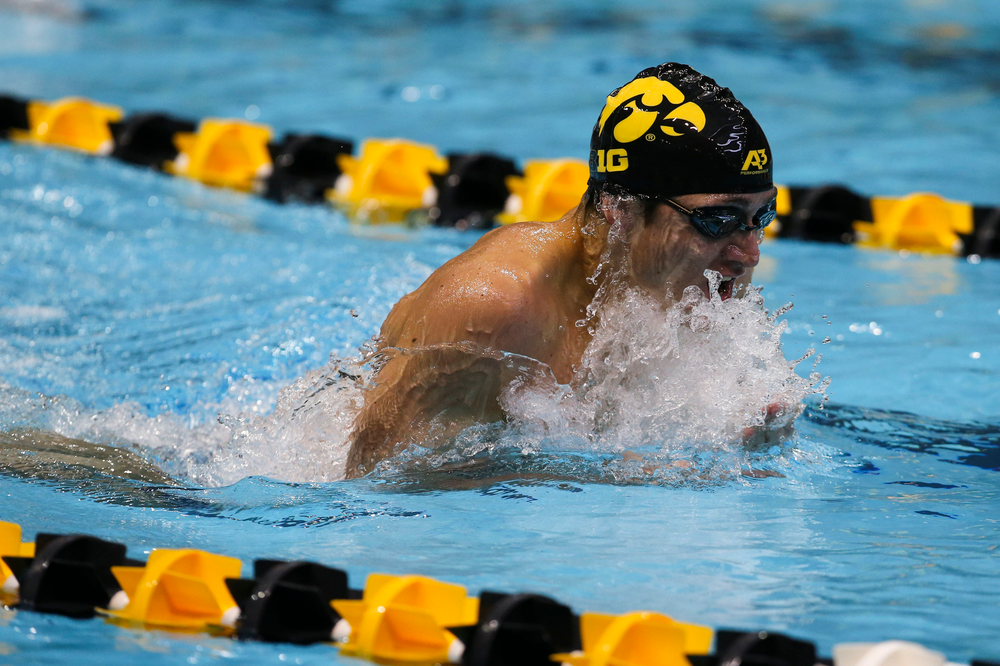during Iowa swim and dive vs Minnesota on Saturday, October 26, 2019 at the Campus Wellness and Recreation Center. (Lily Smith/hawkeyesports.com)