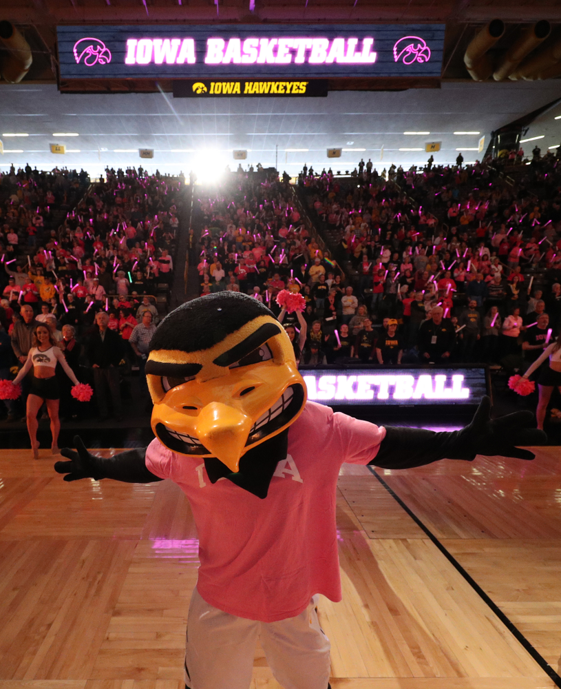 Herky The Hawk against the seventh ranked Maryland Terrapins Sunday, February 17, 2019 at Carver-Hawkeye Arena. (Brian Ray/hawkeyesports.com)