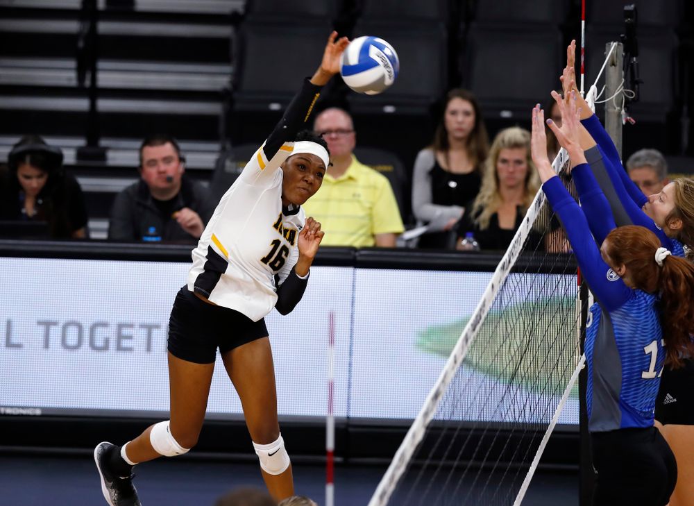 Iowa Hawkeyes outside hitter Taylor Louis (16) against Eastern Illinois Sunday, September 9, 2018 at Carver-Hawkeye Arena. (Brian Ray/hawkeyesports.com)