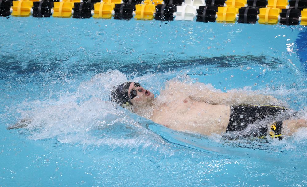 Iowa's Kenneth Mende competes in the 200-yard backstroke during the 2019 Big Ten Men's Swimming and Diving Championships Saturday, March 2, 2019 at the Campus Wellness and Recreation Center. (Brian Ray/hawkeyesports.com)