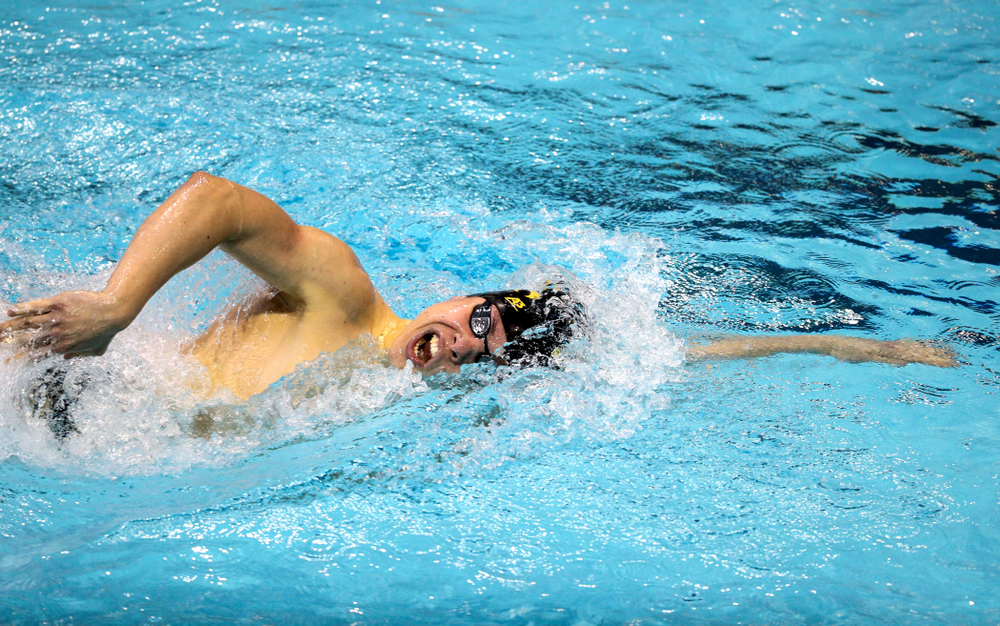 Iowa's Mateusz Arndt swims the 1000 yard freestyle during a double dual against Wisconsin and Northwestern Saturday, January 19, 2019 at the Campus Recreation and Wellness Center. (Brian Ray/hawkeyesports.com)
