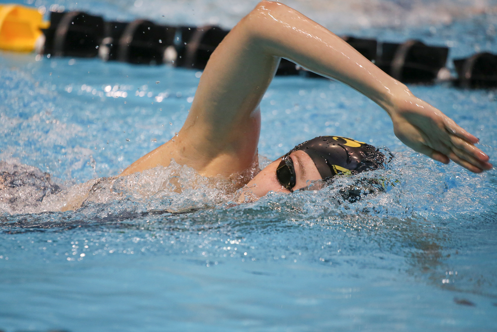 Iowa’s Emilia Sansome swims the 1000-yard freestyle during the Iowa swimming and diving meet vs Notre Dame and Illinois on Saturday, January 11, 2020 at the Campus Recreation and Wellness Center. (Lily Smith/hawkeyesports.com)