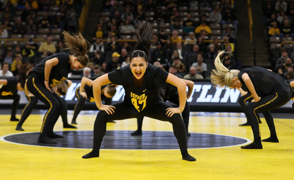 The Iowa Dance Team performs at the intermission of the Iowa Hawkeyes match against Purdue Saturday, November 24, 2018 at Carver-Hawkeye Arena. (Brian Ray/hawkeyesports.com)