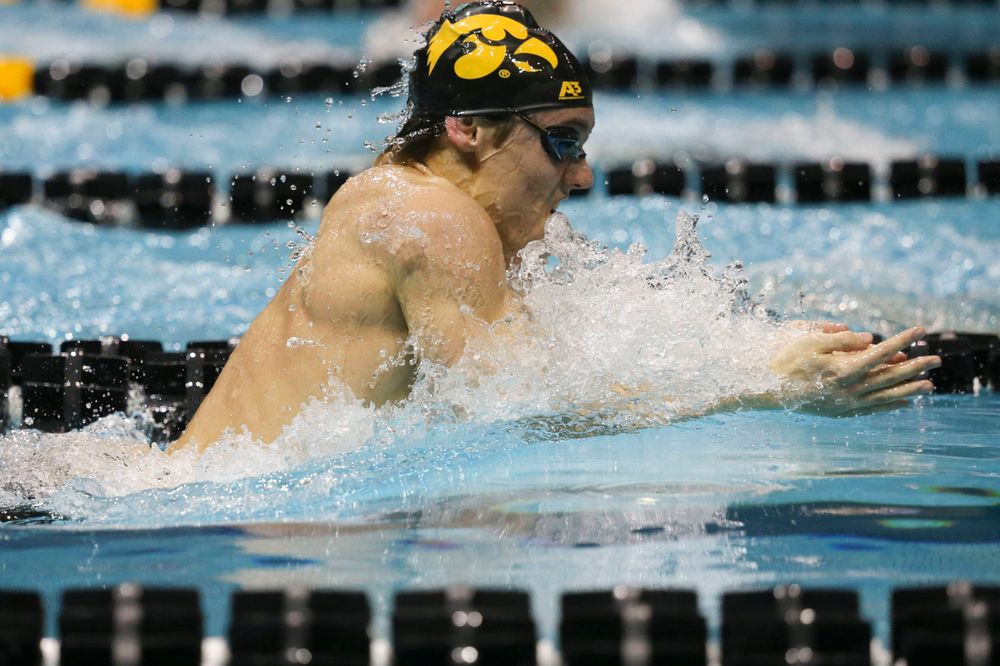 Iowa's Daniel Swanepoel at the 200-yard breaststroke race Saturday, March 2, 2019 at the Campus Recreation and Wellness Center. (Lily Smith/hawkeyesports.com)