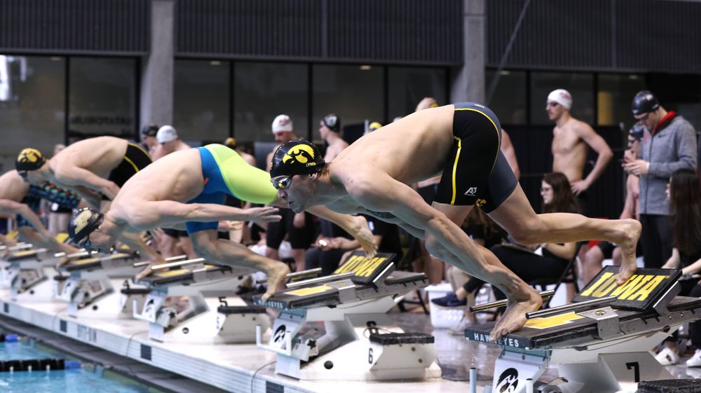 Iowa's Stjepan Fiolic competes in the 100-yard freestyle during the 2019 Big Ten Men's Swimming and Diving Championships Saturday, March 2, 2019 at the Campus Wellness and Recreation Center. (Brian Ray/hawkeyesports.com)