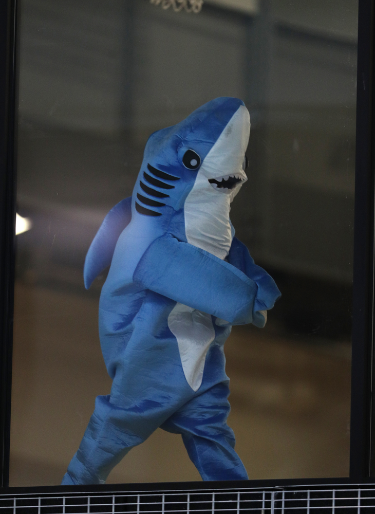 Spot the Shark against the Iowa State Cyclones in the Iowa Corn Cy-Hawk Series Friday, December 7, 2018 at at the Campus Recreation and Wellness Center. (Brian Ray/hawkeyesports.com)