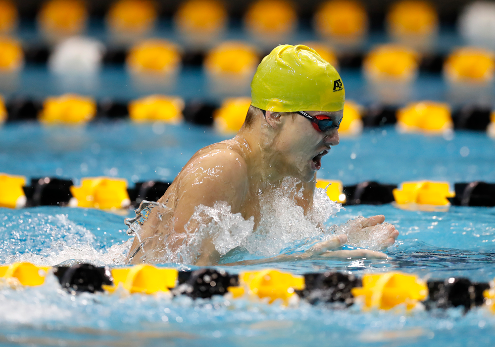 Anze Fers Erzen swims the 200 yard IM during the Black and Gold Intrasquad Saturday, September 29, 2018 at the Campus Recreation and Wellness Center. (Brian Ray/hawkeyesports.com)