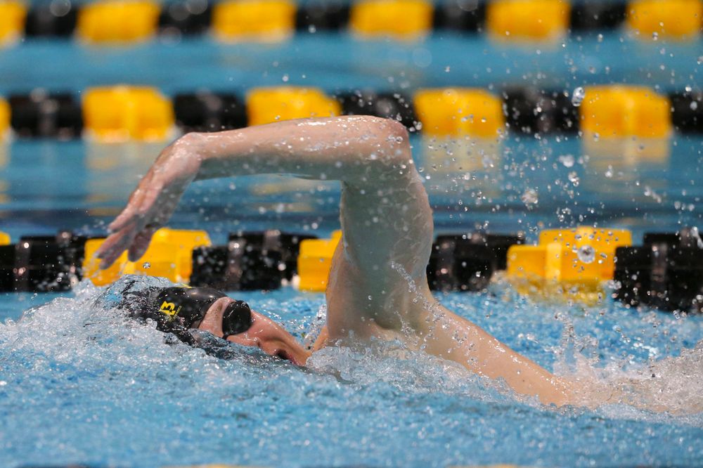 Iowa's B team at the 1,650-yard freestyle race Saturday, March 2, 2019 at the Campus Recreation and Wellness Center. (Lily Smith/hawkeyesports.com)
