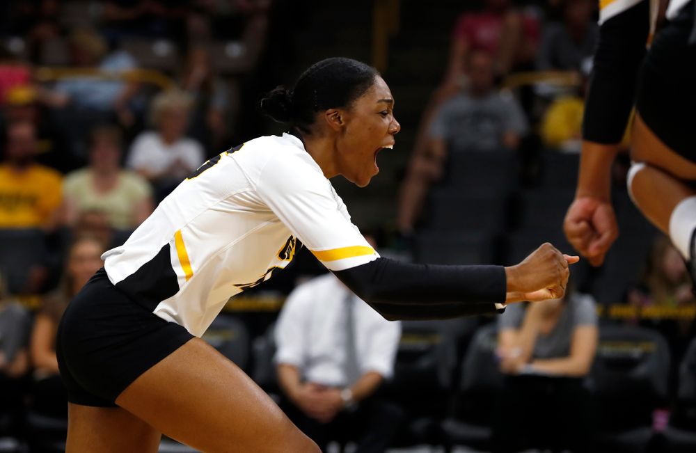 Iowa Hawkeyes outside hitter Taylor Louis (16) against the Michigan Wolverines Sunday, September 23, 2018 at Carver-Hawkeye Arena. (Brian Ray/hawkeyesports.com)