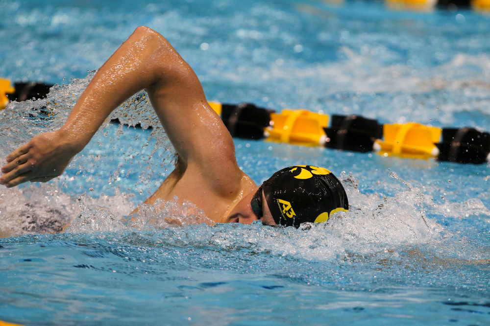 Iowa’s Andrew Fierke during Iowa swim and dive vs Minnesota on Saturday, October 26, 2019 at the Campus Wellness and Recreation Center. (Lily Smith/hawkeyesports.com)