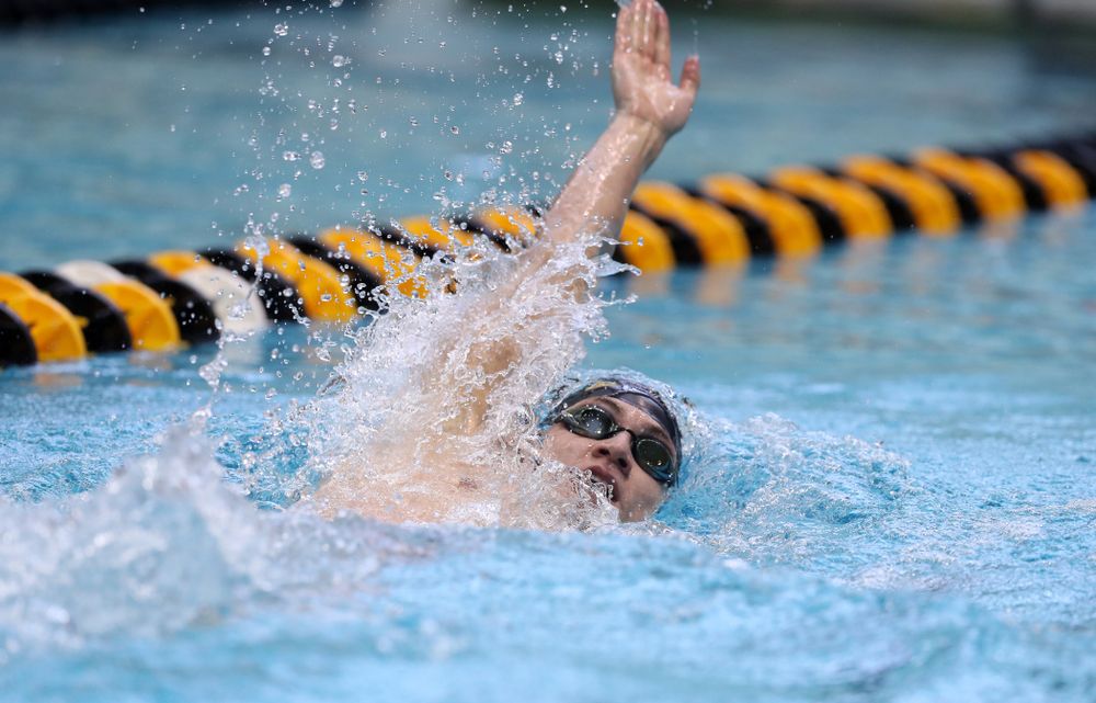 Iowa's Michael Tenney competes in the 400-yard IM on the third day at the 2019 Big Ten Swimming and Diving Championships Thursday, February 28, 2019 at the Campus Wellness and Recreation Center. (Brian Ray/hawkeyesports.com)