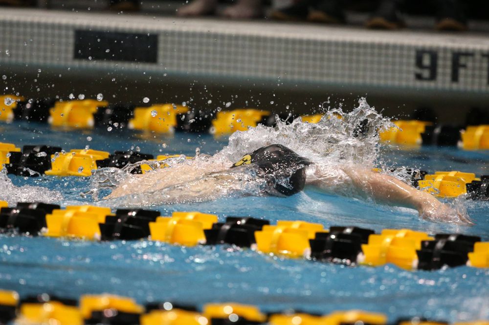 The Iowa A team competes in the 800-yard freestyle relay at the 2019 Big Ten Swimming and Diving meet Wednesday, February 27, 2019 at the Campus Wellness and Recreation Center. (Lily Smith/hawkeyesports.com)