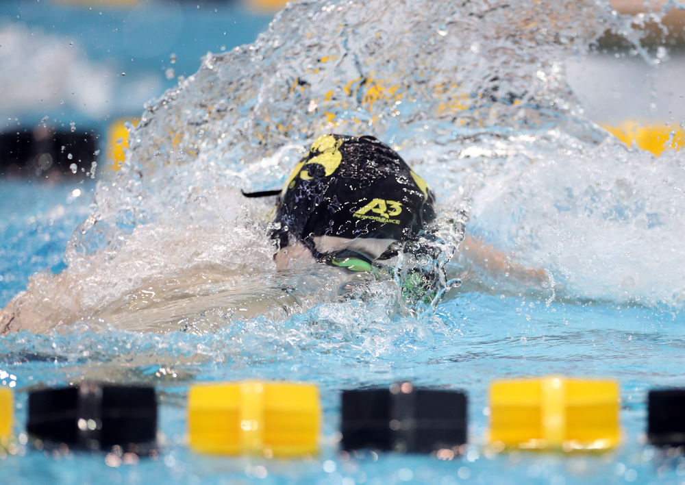 IowaÕs Maddie Ziegert swims the 50 yard freestyle against the Michigan Wolverines Friday, November 1, 2019 at the Campus Recreation and Wellness Center. (Brian Ray/hawkeyesports.com)