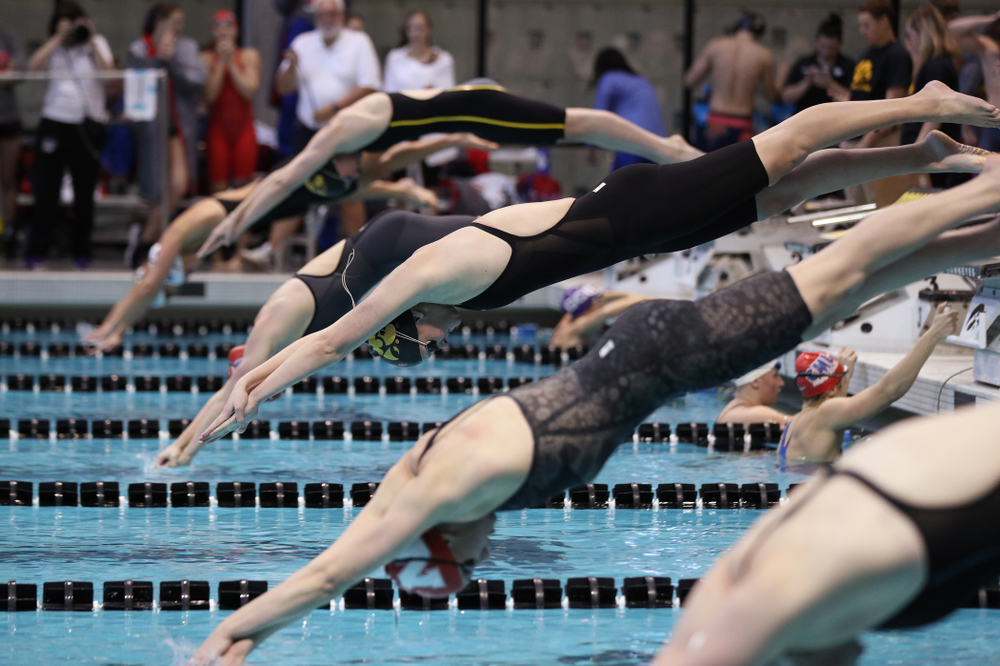 Iowa's Sarah Schemmel swims the 50 yard freestyle Thursday, November 15, 2018 during the 2018 Hawkeye Invitational at the Campus Recreation and Wellness Center. (Brian Ray/hawkeyesports.com)