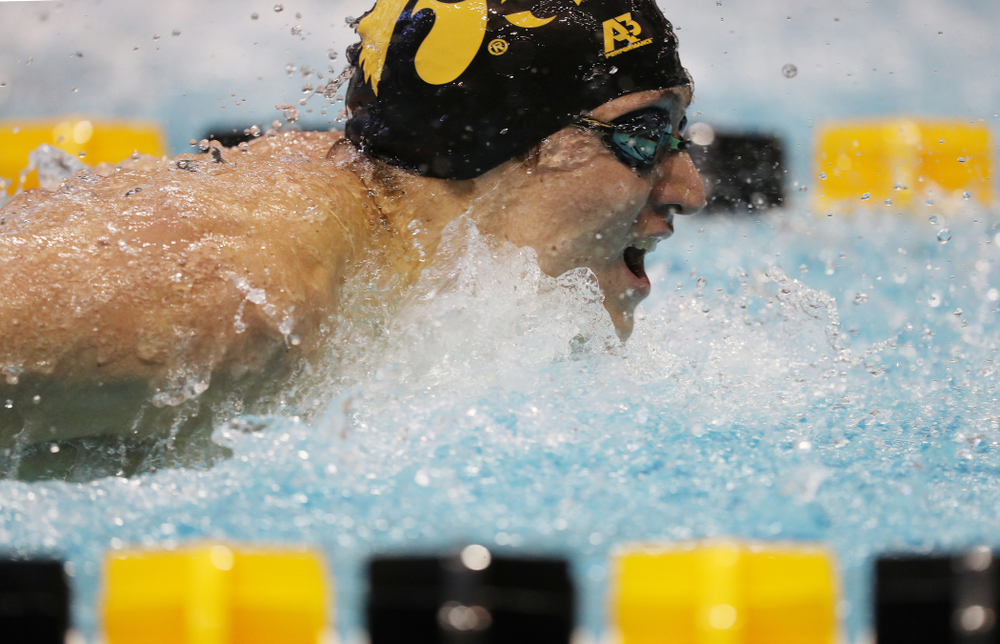 Iowa's Michael Tenney swims the 200 yard butterfly during a double dual against Wisconsin and Northwestern Saturday, January 19, 2019 at the Campus Recreation and Wellness Center. (Brian Ray/hawkeyesports.com)