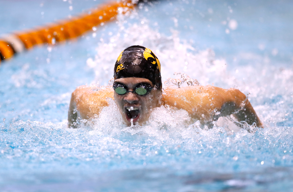 Matjaz Rozman swims the 100 yard butterfly during the Black and Gold Intrasquad Saturday, September 29, 2018 at the Campus Recreation and Wellness Center. (Brian Ray/hawkeyesports.com)