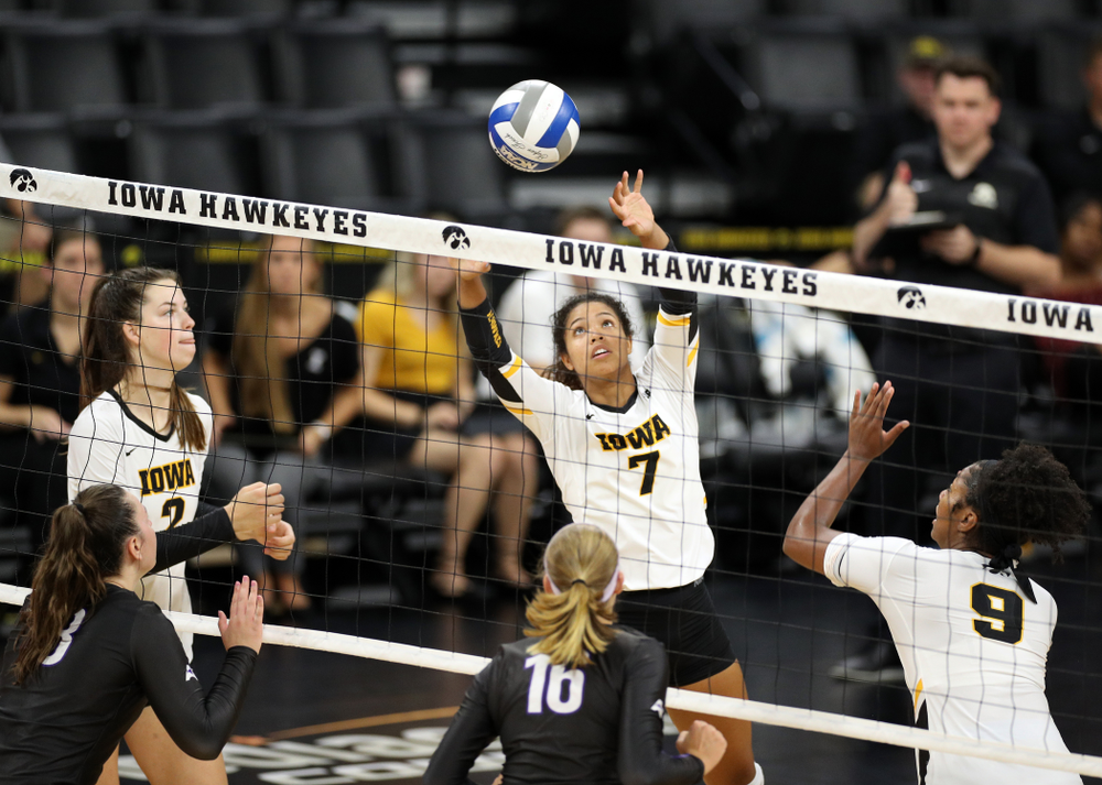 Iowa Hawkeyes setter Brie Orr (7) against Lipscomb Friday, September 20, 2019 at Carver-Hawkeye Arena. (Brian Ray/hawkeyesports.com)