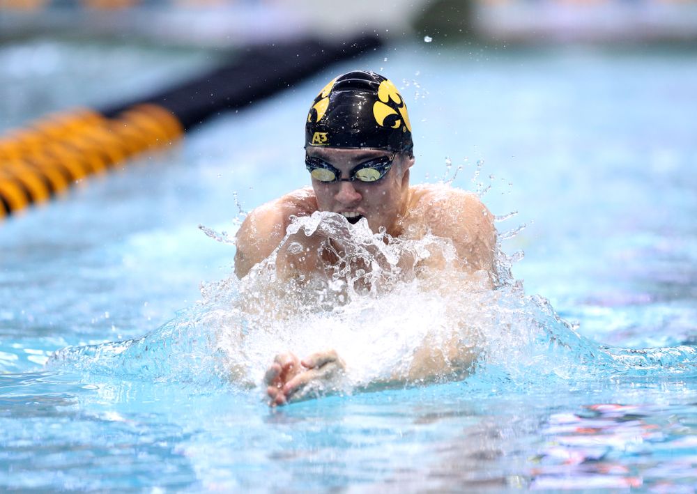 Iowa's Daniel Swanepoel competes in the 200-yard breaststroke during the 2019 Big Ten Men's Swimming and Diving Championships Saturday, March 2, 2019 at the Campus Wellness and Recreation Center. (Brian Ray/hawkeyesports.com)