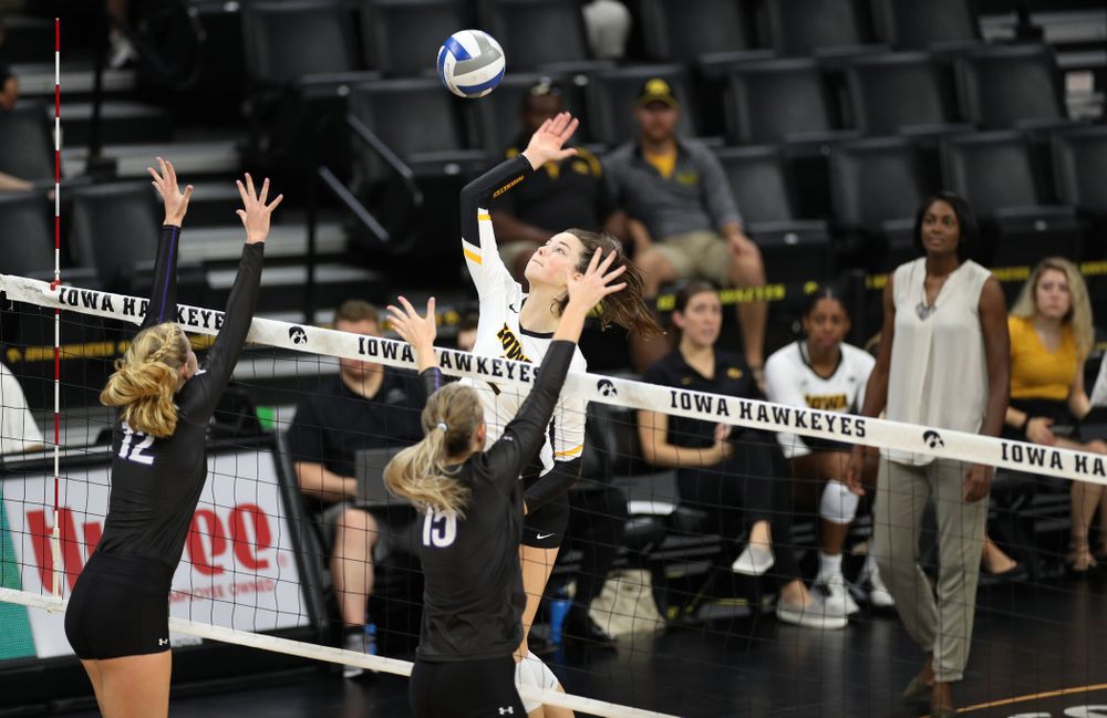 Iowa Hawkeyes setter Courtney Buzzerio (2) against Lipscomb Friday, September 20, 2019 at Carver-Hawkeye Arena. (Brian Ray/hawkeyesports.com)