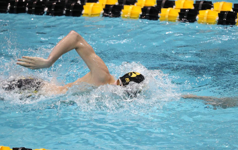 Iowa's Andrew Fierke swims the 500-yard freestyle during the bonus finals of the second day at the 2019 Big Ten Swimming and Diving Championships Thursday, February 28, 2019 at the Campus Wellness and Recreation Center. (Brian Ray/hawkeyesports.com)