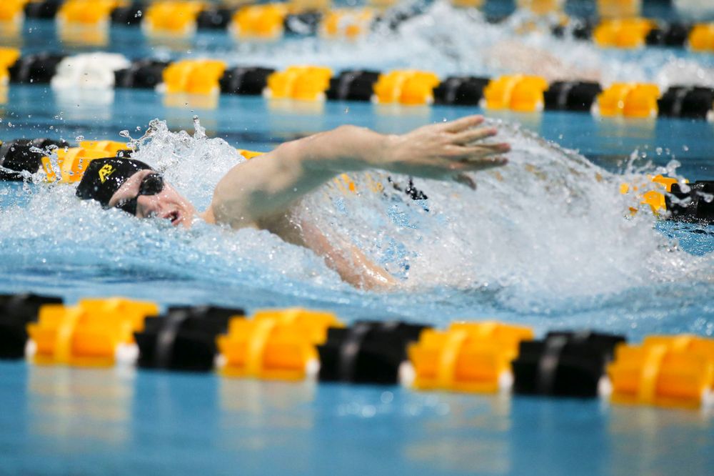 Iowa's B team at the 1,650-yard freestyle race Saturday, March 2, 2019 at the Campus Recreation and Wellness Center. (Lily Smith/hawkeyesports.com)