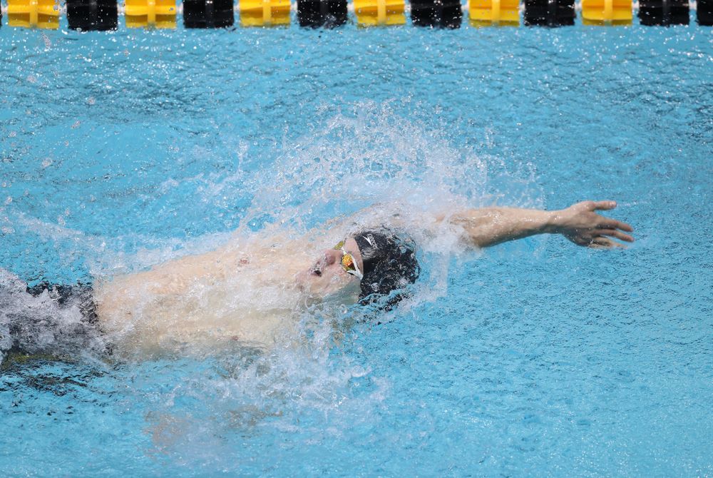 Iowa's Anze Fers Erzen competes in the 200-yard backstroke during the 2019 Big Ten Men's Swimming and Diving Championships Saturday, March 2, 2019 at the Campus Wellness and Recreation Center. (Brian Ray/hawkeyesports.com)
