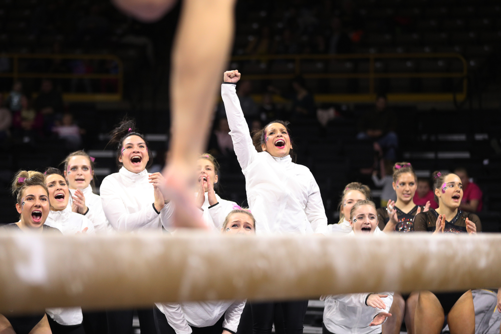 Iowa's Gina Leal cheers on Mackenzie Vance as she competes on the beam during their meet against the Minnesota Golden Gophers Saturday, January 19, 2019 at Carver-Hawkeye Arena. (Brian Ray/hawkeyesports.com)
