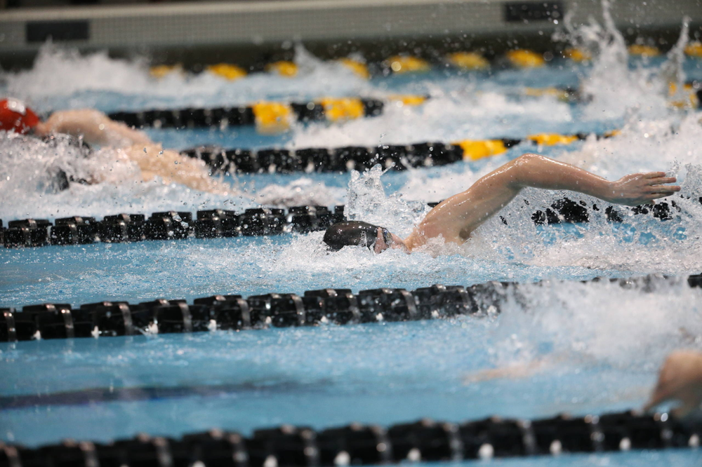 Iowa's Aleksey Tarasenko at the 200-yard freestyle race Friday, March 1, 2019 at the Campus Recreation and Wellness Center. (Lily Smith/hawkeyesports.com)