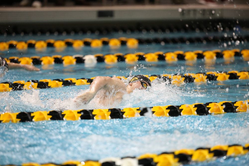 Iowa's Aleksey Tarasenko at the 200-yard freestyle race Friday, March 1, 2019 at the Campus Recreation and Wellness Center. (Lily Smith/hawkeyesports.com)