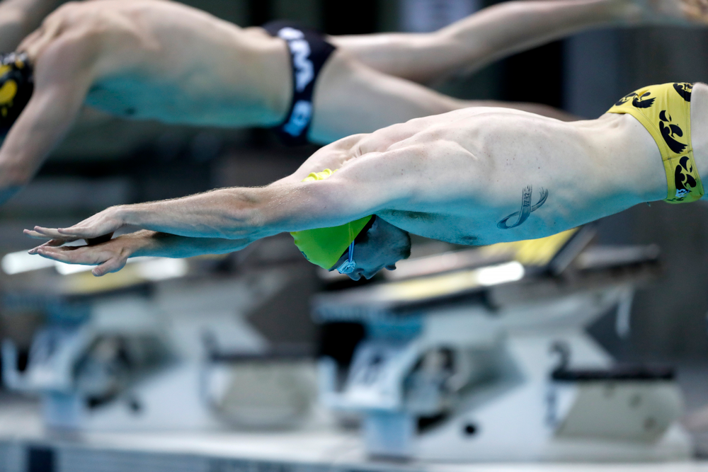 Michal Brzus swims the 50 yard freestyle during the Black and Gold Intrasquad Saturday, September 29, 2018 at the Campus Recreation and Wellness Center. (Brian Ray/hawkeyesports.com)