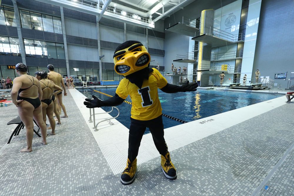 Herky the Hawk during a double dual against Wisconsin and Northwestern Saturday, January 19, 2019 at the Campus Recreation and Wellness Center. (Brian Ray/hawkeyesports.com)