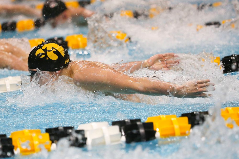 Iowa's Michael Tenney at the 200-yard butterfly race Saturday, March 2, 2019 at the Campus Recreation and Wellness Center. (Lily Smith/hawkeyesports.com)