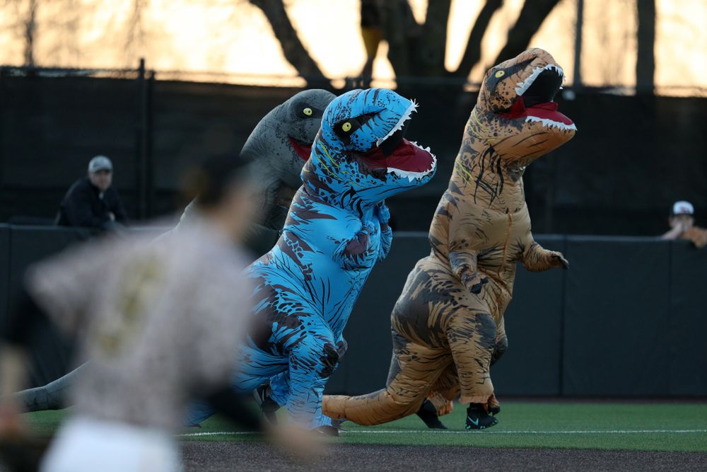 The dinosaur race during the Iowa Hawkeyes game against the Nebraska Cornhuskers on Military Appreciation Night Friday, April 19, 2019 at Duane Banks Field. (Brian Ray/hawkeyesports.com)