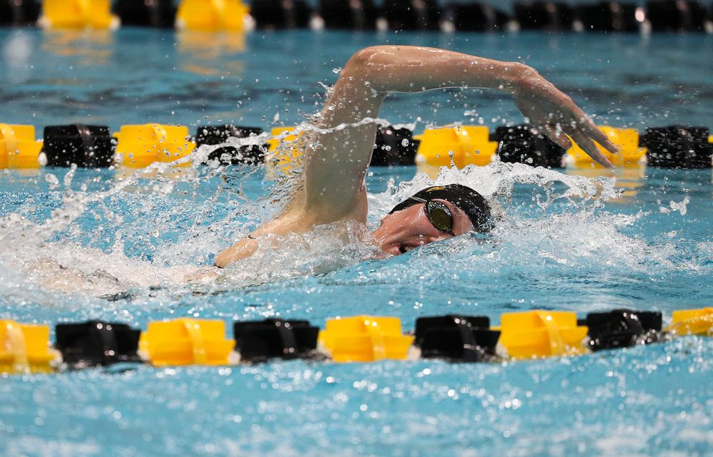 Iowa's Allyssa Fluit competes in the 100-yard freestyle during a meet against Michigan and Denver at the Campus Recreation and Wellness Center on November 3, 2018. (Tork Mason/hawkeyesports.com)