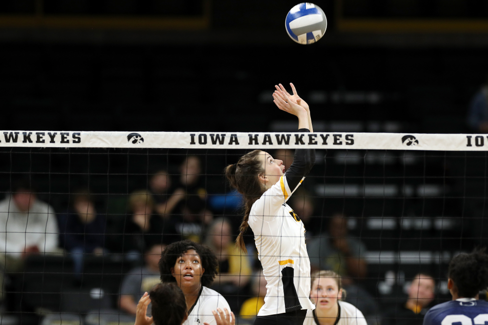 Iowa Hawkeyes setter Courtney Buzzerio (2) against Penn State Friday, November 1, 2019 at Carver Hawkeye Arena. (Brian Ray/hawkeyesports.com)