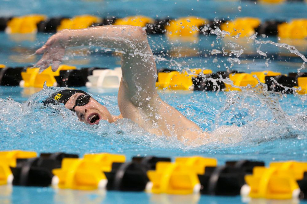 Iowa's B team at the 1,650-yard freestyle race Saturday, March 2, 2019 at the Campus Recreation and Wellness Center. (Lily Smith/hawkeyesports.com)