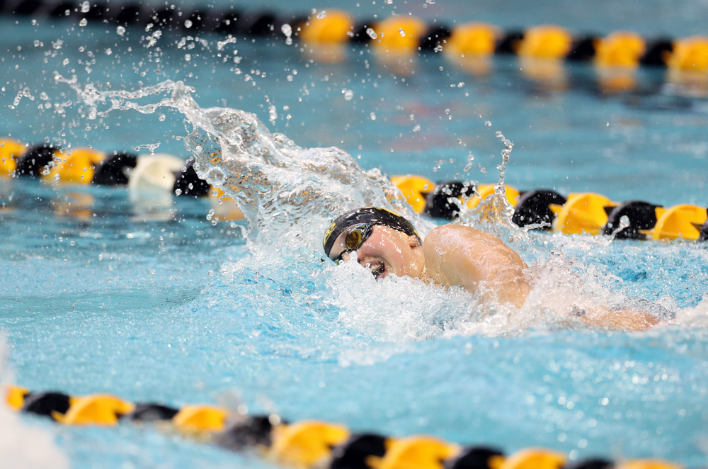 IowaÕs Hanna Burvill swims the 200 yard freestyle agains the Michigan Wolverines Friday, November 1, 2019 at the Campus Recreation and Wellness Center. (Brian Ray/hawkeyesports.com)