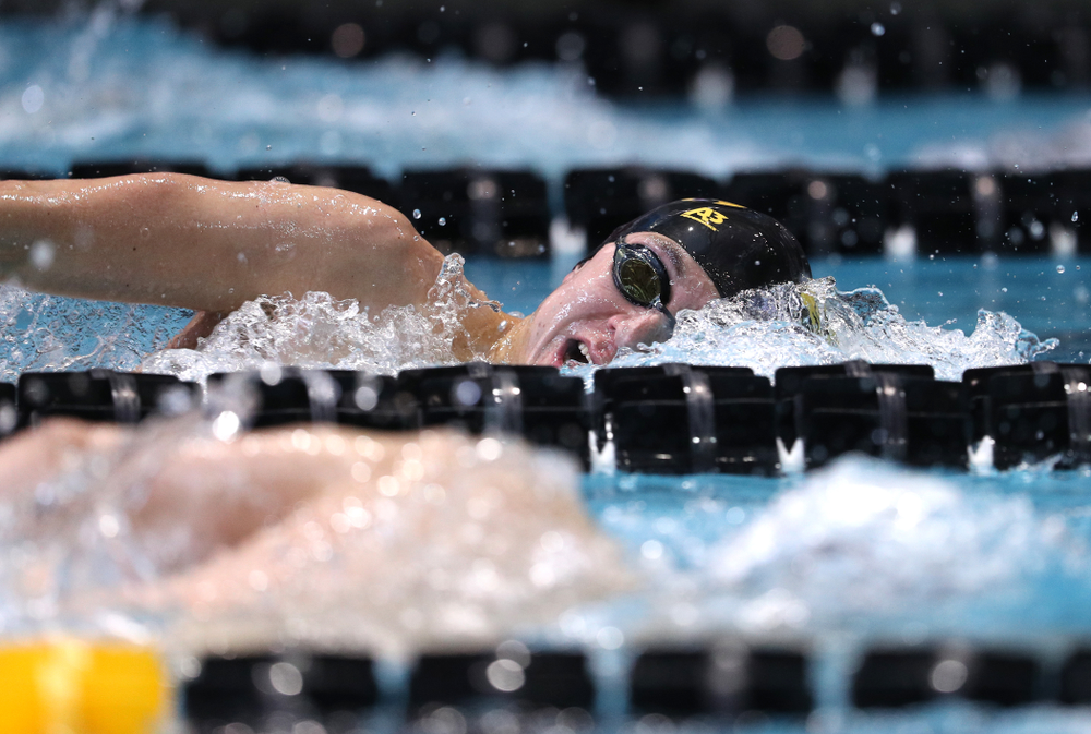 Iowa's Michael Tenney swims in the preliminaries of the 500-yard freestyle during the 2019 Big Ten Swimming and Diving Championships Thursday, February 28, 2019 at the Campus Wellness and Recreation Center. (Brian Ray/hawkeyesports.com)