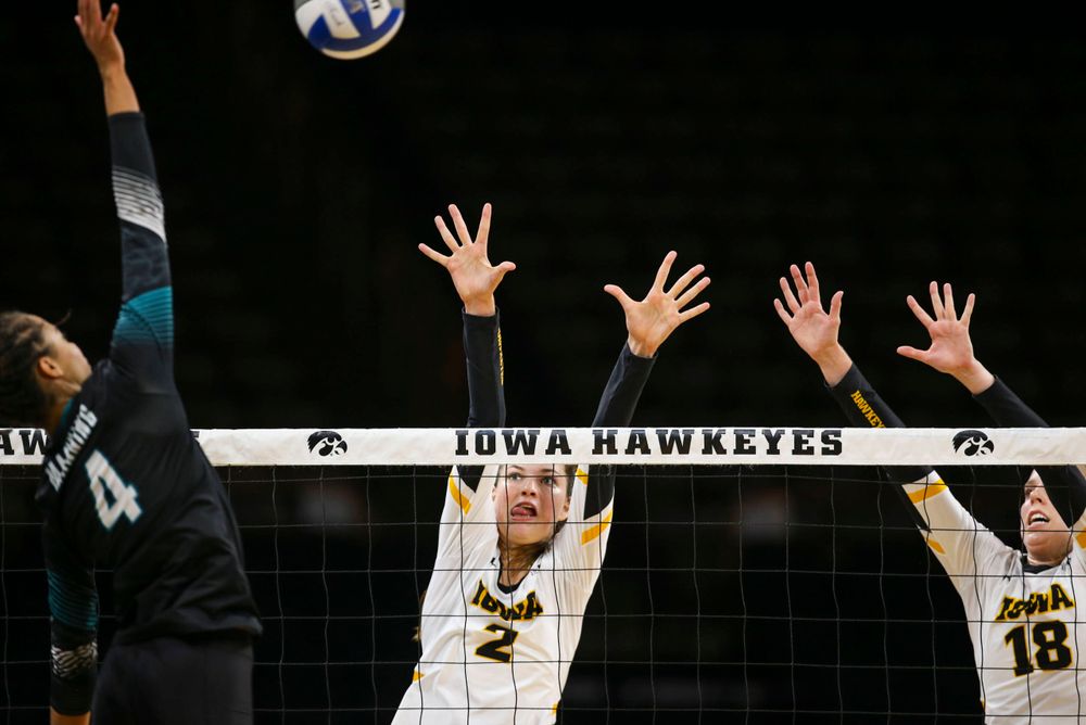 Iowa Hawkeyes setter Courtney Buzzerio (2) and Iowa Hawkeyes middle blocker Hannah Clayton (18) against Coastal Carolina Friday, September 20, 2019 at Carver-Hawkeye Arena. (Lily Smith/hawkeyesports.com)