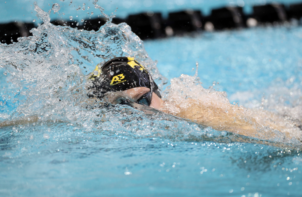 IowaÕs Emilia Sansome swims the 500 yard freestyle against the Michigan Wolverines Friday, November 1, 2019 at the Campus Recreation and Wellness Center. (Brian Ray/hawkeyesports.com)