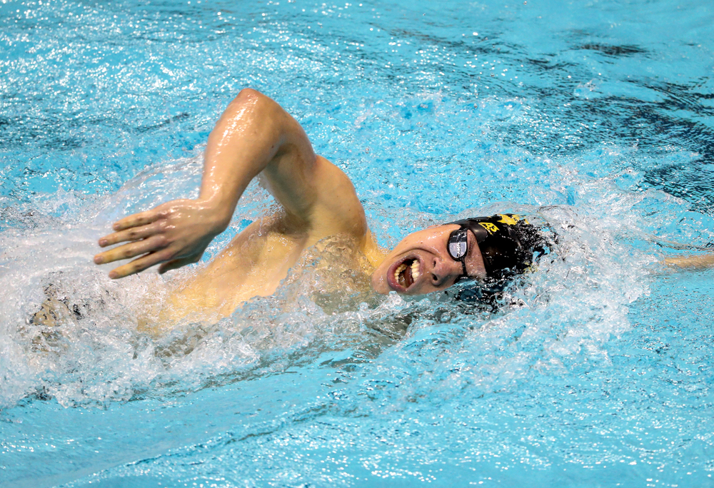 Iowa's Mateusz Arndt swims the 1000 yard freestyle during a double dual against Wisconsin and Northwestern Saturday, January 19, 2019 at the Campus Recreation and Wellness Center. (Brian Ray/hawkeyesports.com)