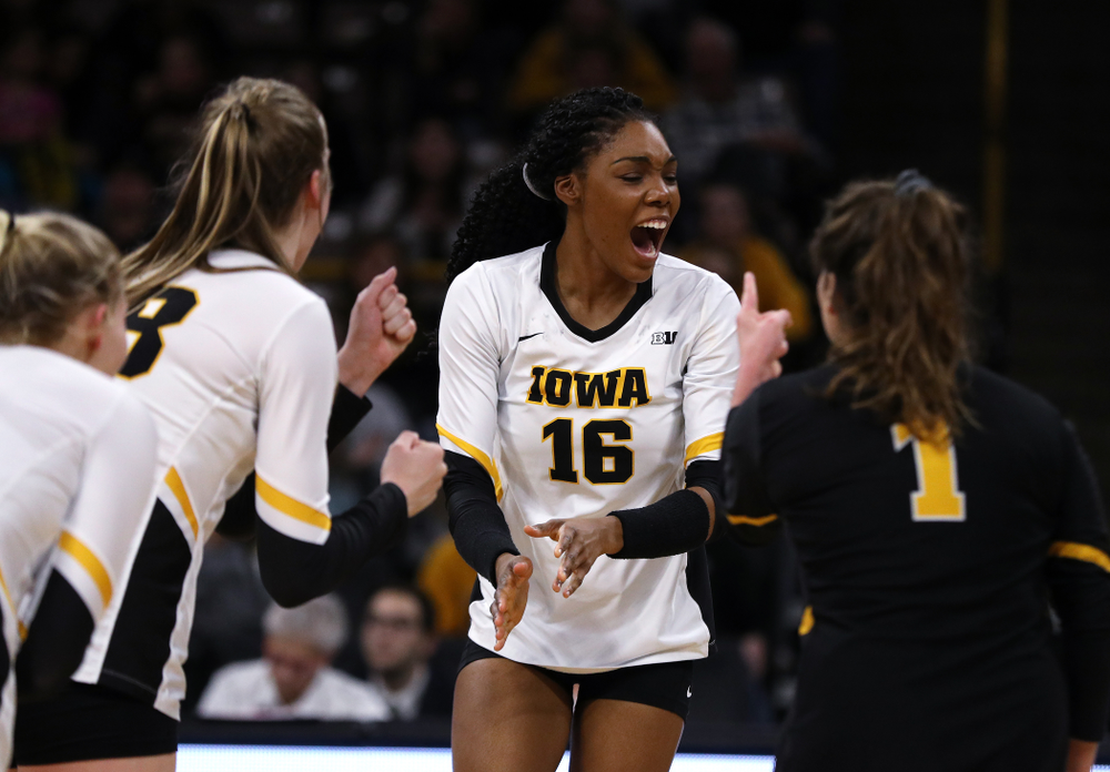 Iowa Hawkeyes outside hitter Taylor Louis (16) against the Ohio State Buckeyes Saturday, November 24, 2018 at Carver-Hawkeye Arena. (Brian Ray/hawkeyesports.com)