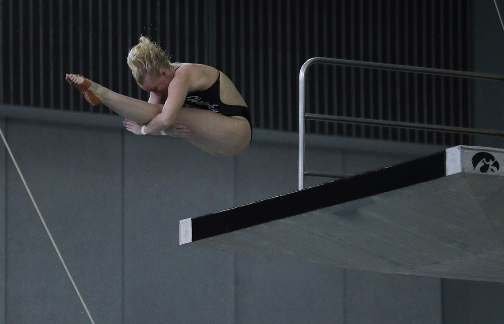 Iowa's Thelma Strandberg competes in the platform diving competition during the third day of the Hawkeye Invitational at the Campus Recreation and Wellness Center on November 17, 2018. (Tork Mason/hawkeyesports.com)