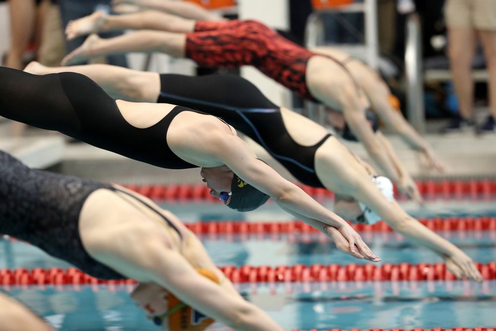 Iowa's Sage Ohlensehlen swims the 50-yard freestyle during the 2019 Women's Big Ten Swimming and Diving meet Thursday, February 21, 2019 in Bloomington, Indiana. (Brian Ray/hawkeyesports.com)