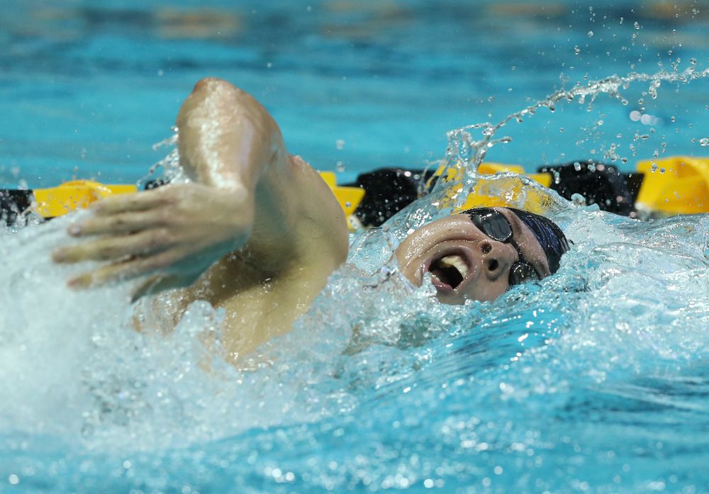 Iowa's Mateusz Arndt swims the 500 yard freestyle Thursday, November 15, 2018 during the 2018 Hawkeye Invitational at the Campus Recreation and Wellness Center. (Brian Ray/hawkeyesports.com)