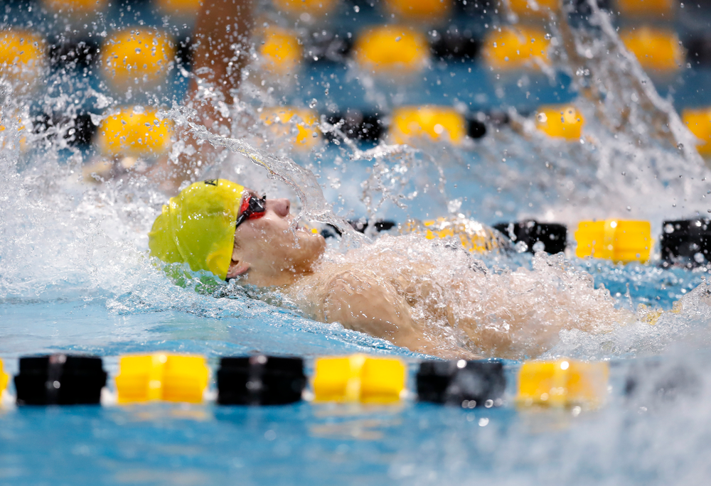 Anze Fers Erzen swims the 200 yard IM during the Black and Gold Intrasquad Saturday, September 29, 2018 at the Campus Recreation and Wellness Center. (Brian Ray/hawkeyesports.com)