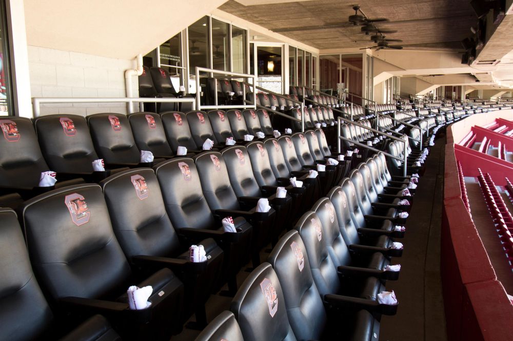 williams  brice virtual seating chart