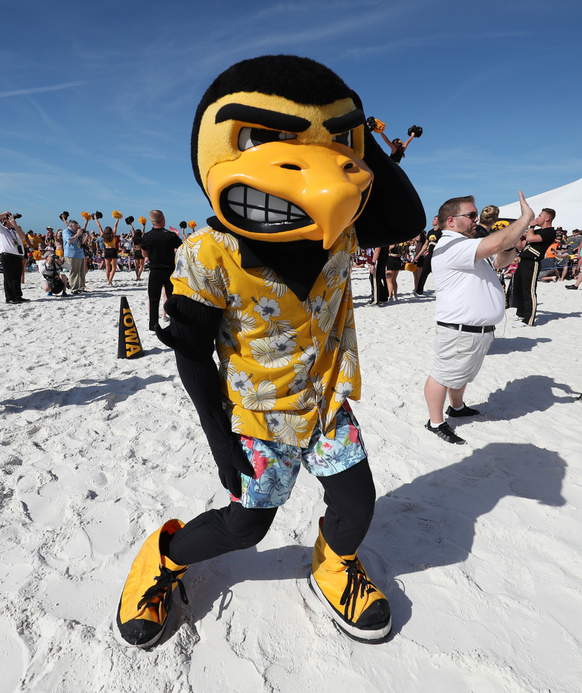 Herky The Hawk during the Outback Bowl Beach Day Sunday, December 30, 2018 at Clearwater Beach. (Brian Ray/hawkeyesports.com)