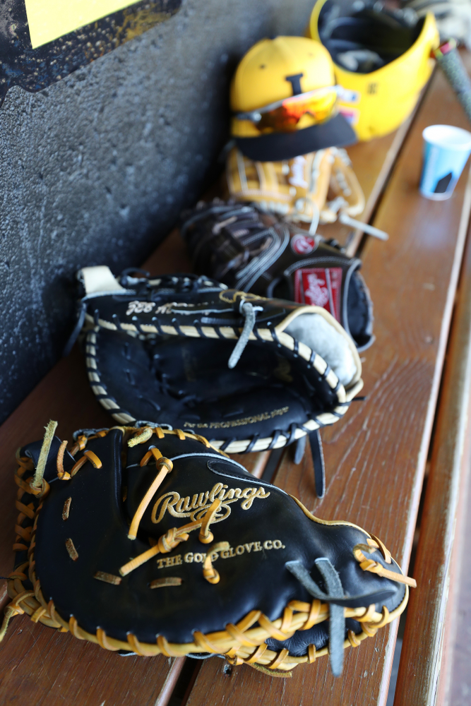 The Iowa Hawkeyes against UC Irvine Saturday, May 4, 2019 at Duane Banks Field. (Brian Ray/hawkeyesports.com)