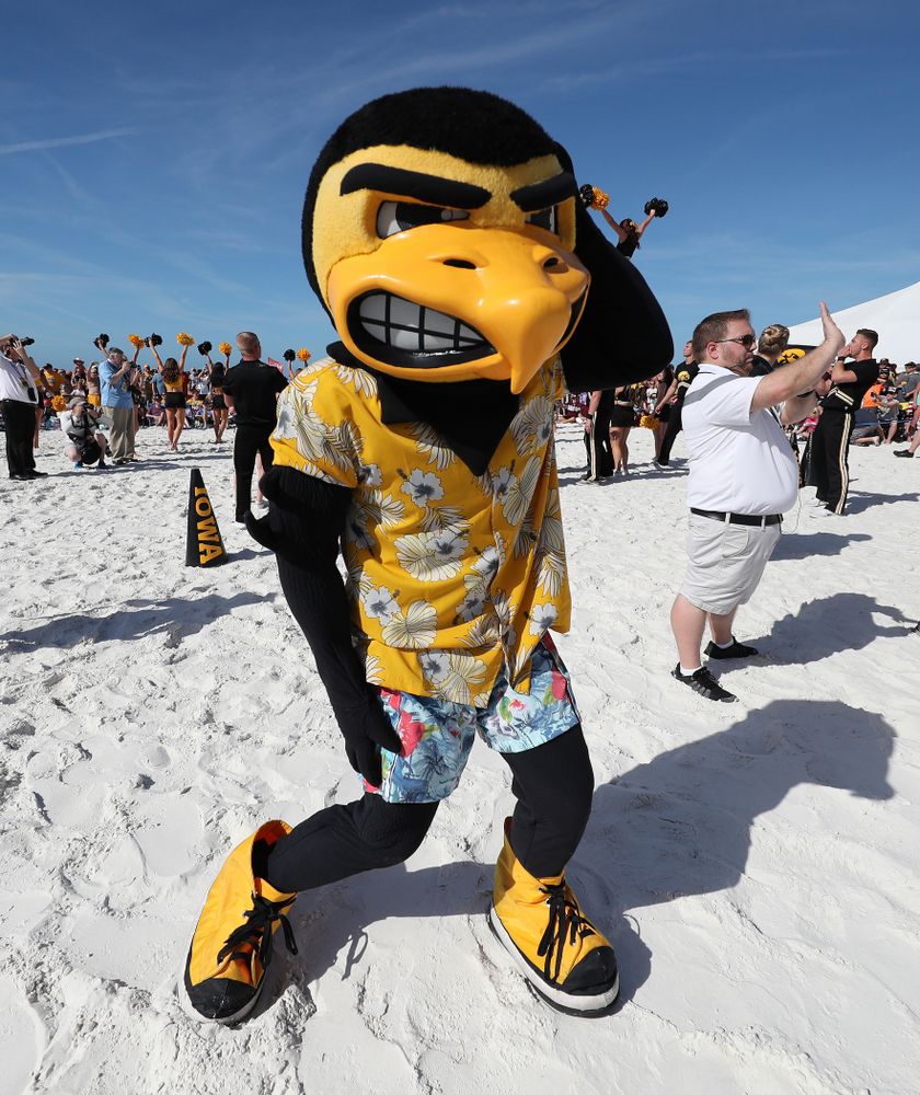 Herky The Hawk during the Outback Bowl Beach Day Sunday, December 30, 2018 at Clearwater Beach. (Brian Ray/hawkeyesports.com)
